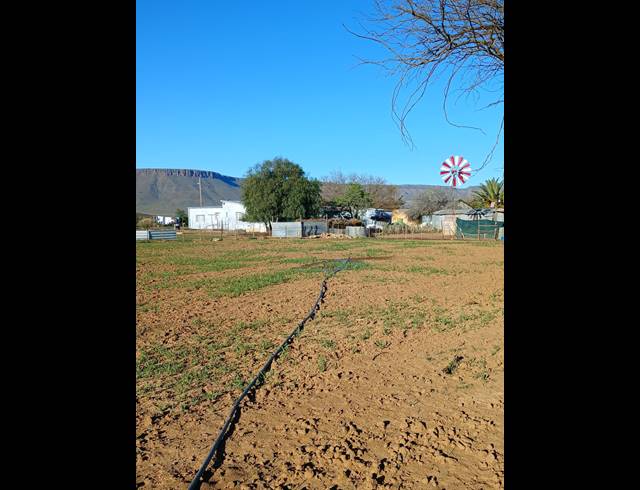 1.60HA SMALLHOLDING FOR SALE IN CALVINIA RURAL